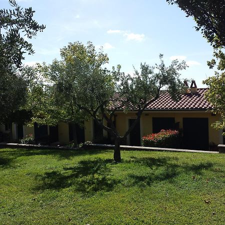 Villa Agriturismo La Vite E Gli Ulivi à Ariccia Extérieur photo