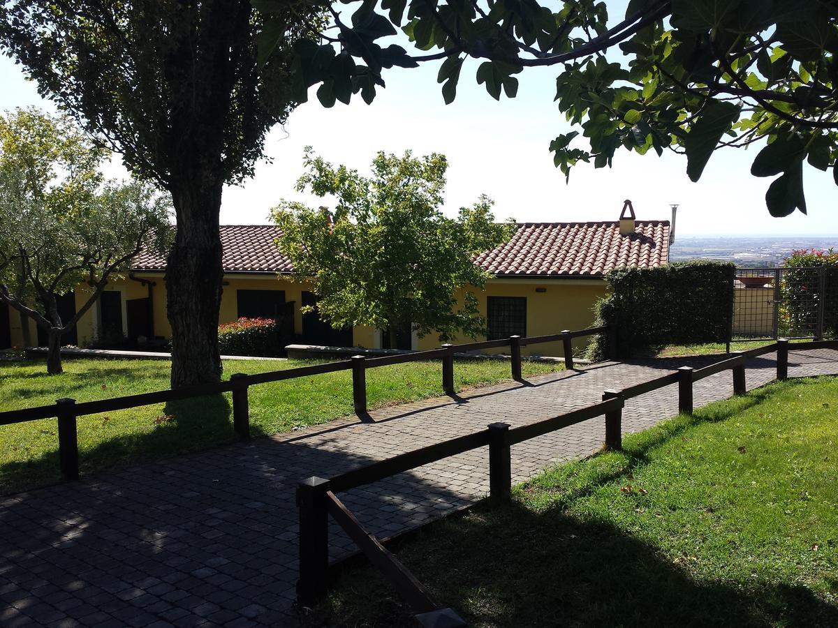 Villa Agriturismo La Vite E Gli Ulivi à Ariccia Extérieur photo